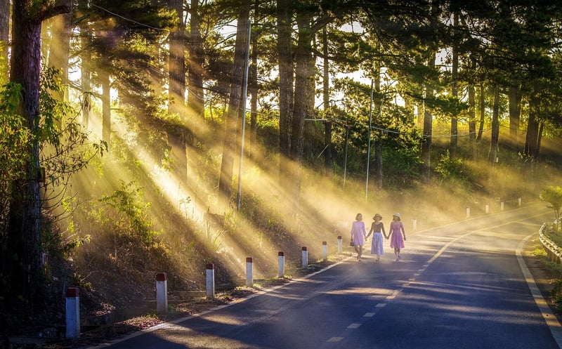 Walking Meditation in Nature